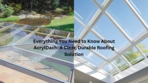 Everything You Need to Know About AcrylDach: A Clear, Durable Roofing Solution